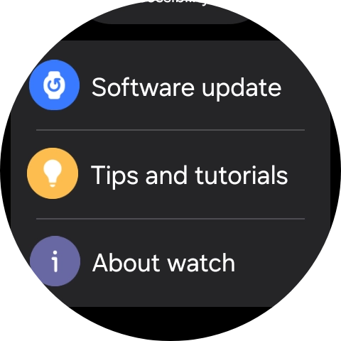 Press Software update.
