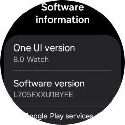 The software version of your smartwatch is displayed below Software version.