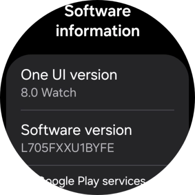 The software version of your smartwatch is displayed below Software version.