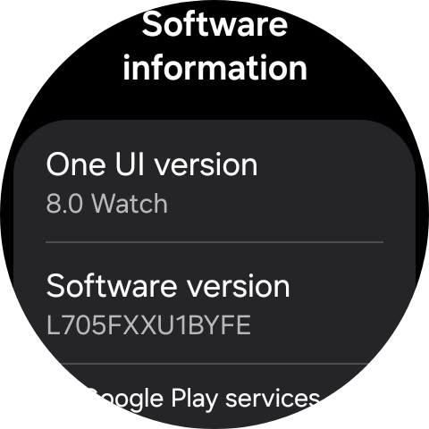 The software version of your smartwatch is displayed below Software version.