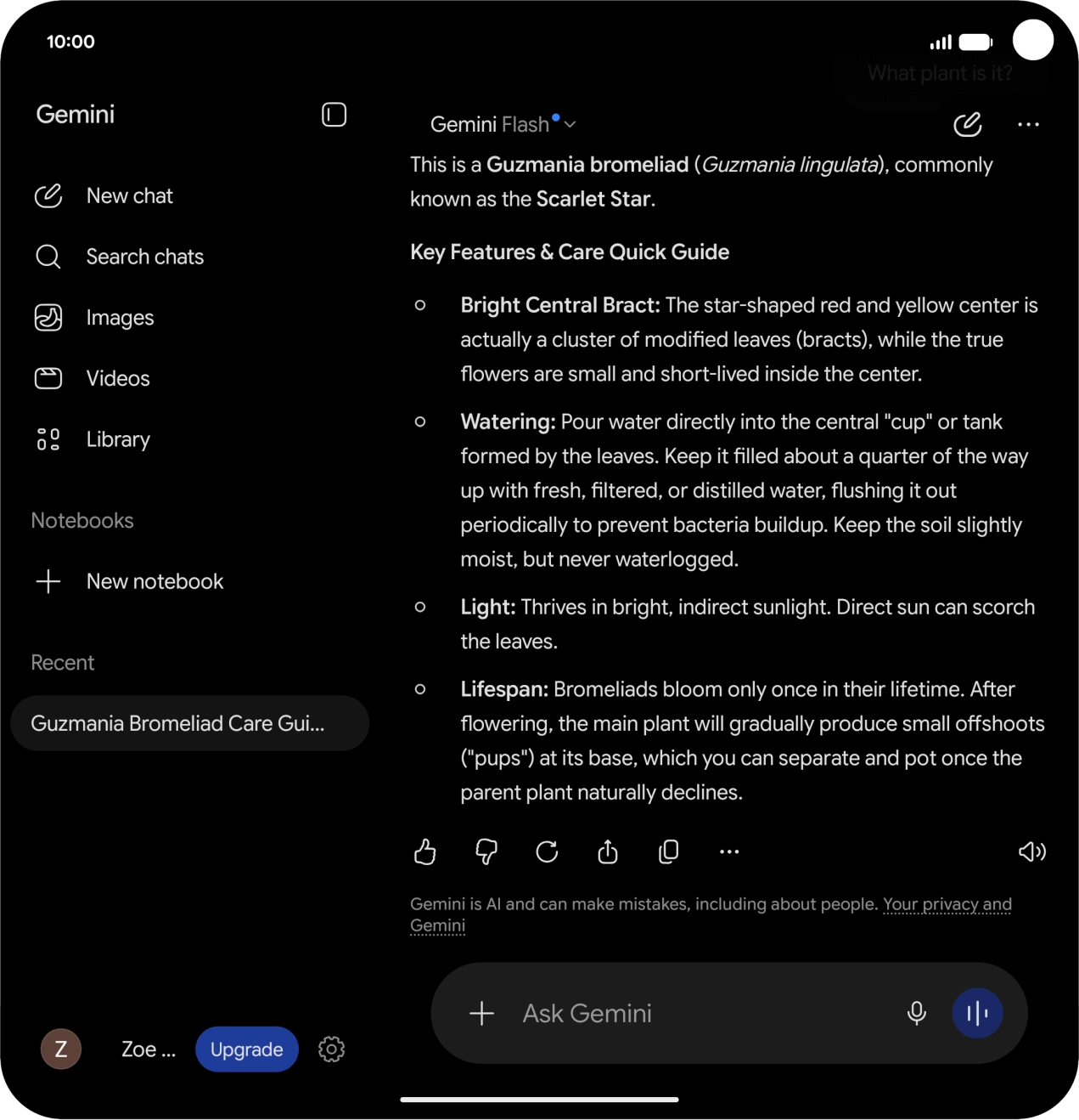 Press the speaker icon to play back the answer from Gemini.