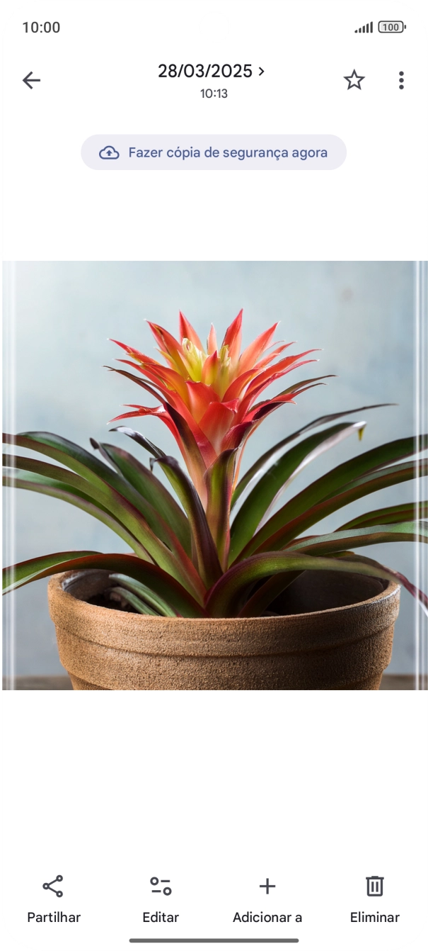 Dirija-se à imagem pretendida.