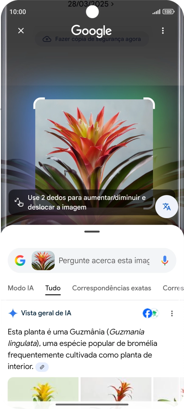 Siga as indicações no ecrã  para utilizar os resultados da pesquisa.