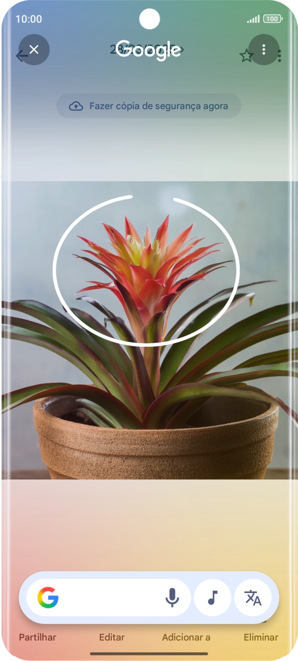 Desenhe um círculo em volta do objeto pretendido na imagem e utilize os resultados da pesquisa.