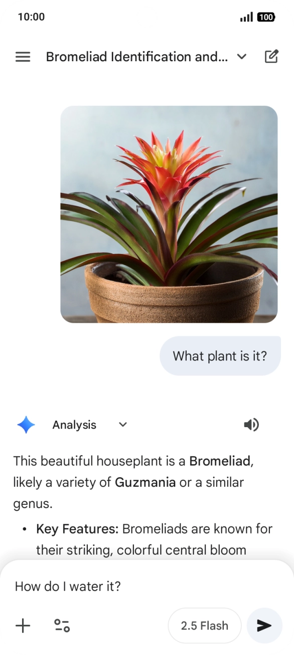 Follow the instructions on the screen to type or speak more questions to continue the conversation.