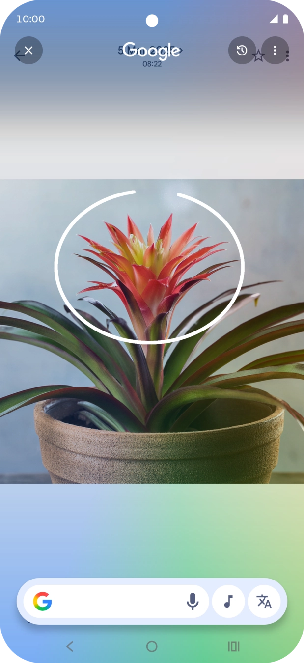 Draw a circle around the required object on the picture and wait for the search results. Draw a circle around the required object on the picture and wait for the search results.