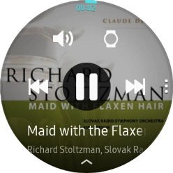 Press the volume icon.