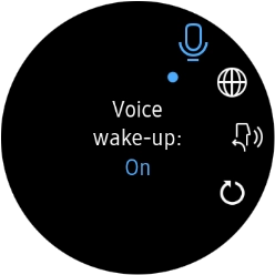 Press the language icon.