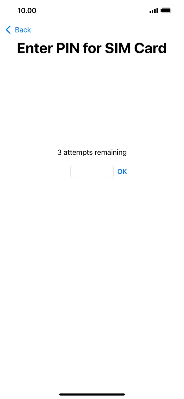 Key in your SIM PIN and press OK. The default SIM PIN is 0000.