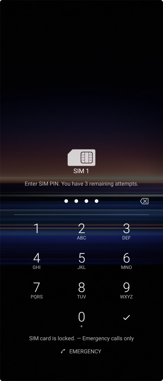 Key in your SIM PIN and press the confirm icon. The default SIM PIN is 0000.