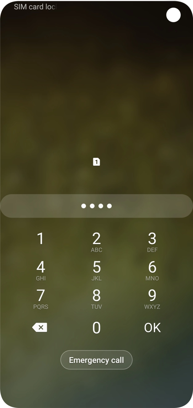 Key in your SIM PIN and press OK. The default SIM PIN is 0000.