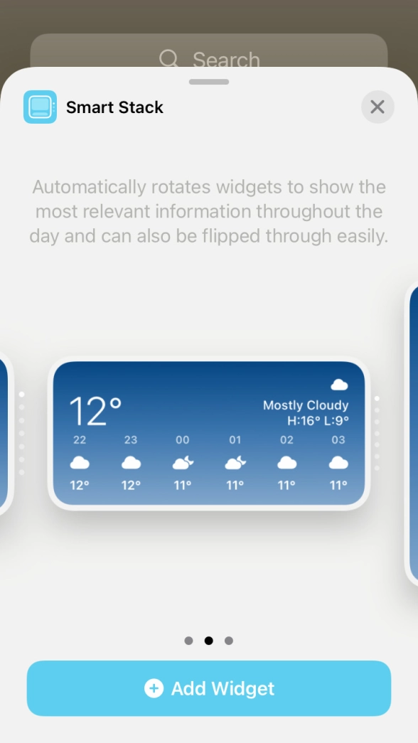 Slide your finger right or left on the screen to select the required widget size. Slide your finger right or left on the screen to select the required widget size.