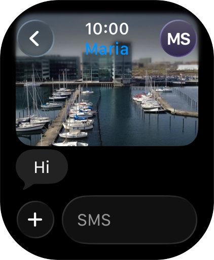 Press SMS.
