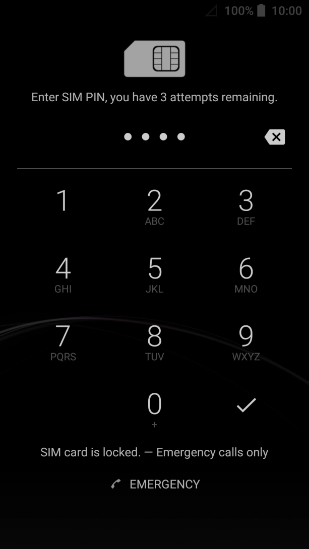 Key in your SIM PIN and press the confirm icon. The default SIM PIN is 0000.