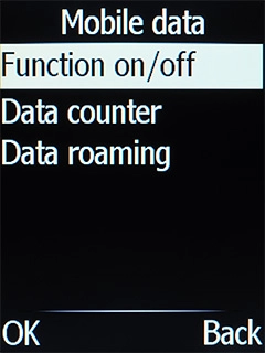 Select Data roaming. Select Data roaming.