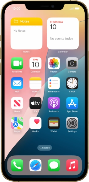 Apple iPhone 12 Pro Max