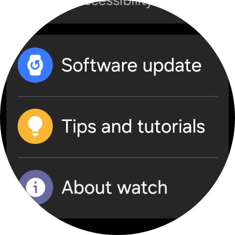 Press Software update. Press Software update.
