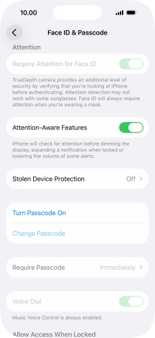 Press Turn Passcode On and key in a lock code of your own choice twice.