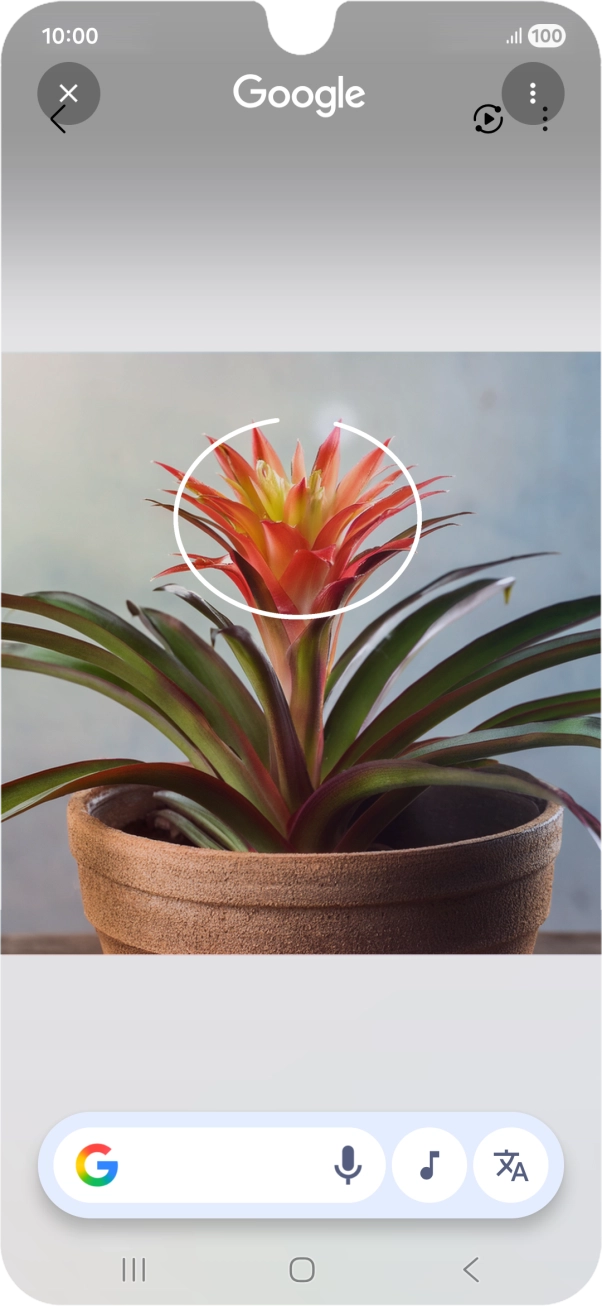 Desenhe um círculo em volta do objeto pretendido na imagem e utilize os resultados da pesquisa.