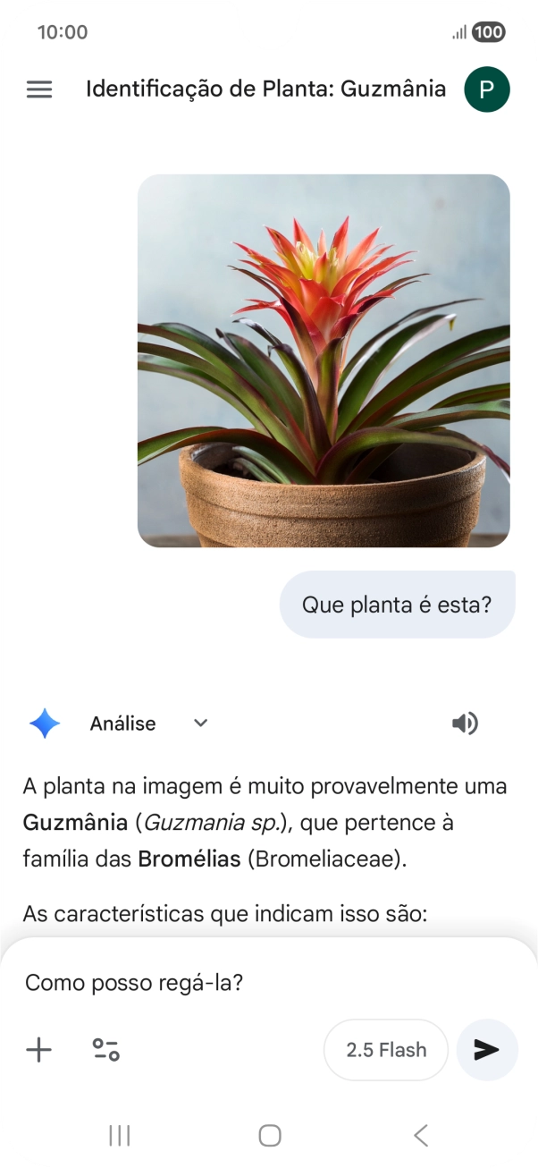 Siga as indicações no ecrã para escrever ou ditar perguntas, para continuar a conversa.
