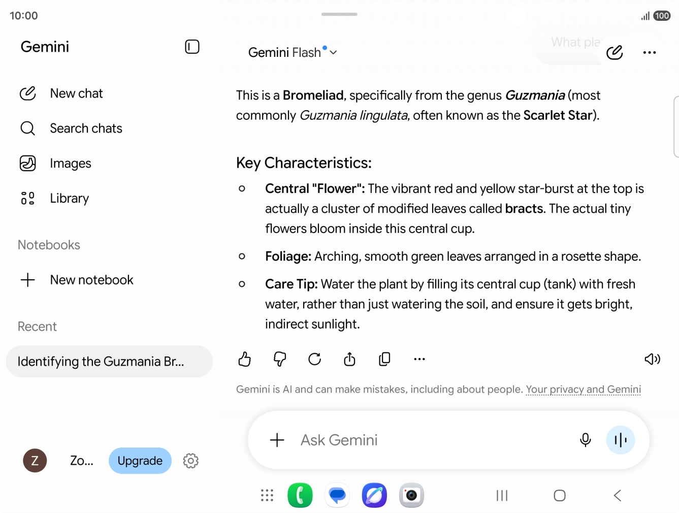 Follow the instructions on the screen to type or speak the required question. You can also attach pictures or documents and ask questions to them.