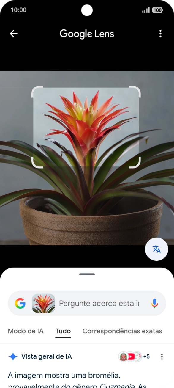 Siga as indicações no ecrã  para utilizar os resultados da pesquisa.