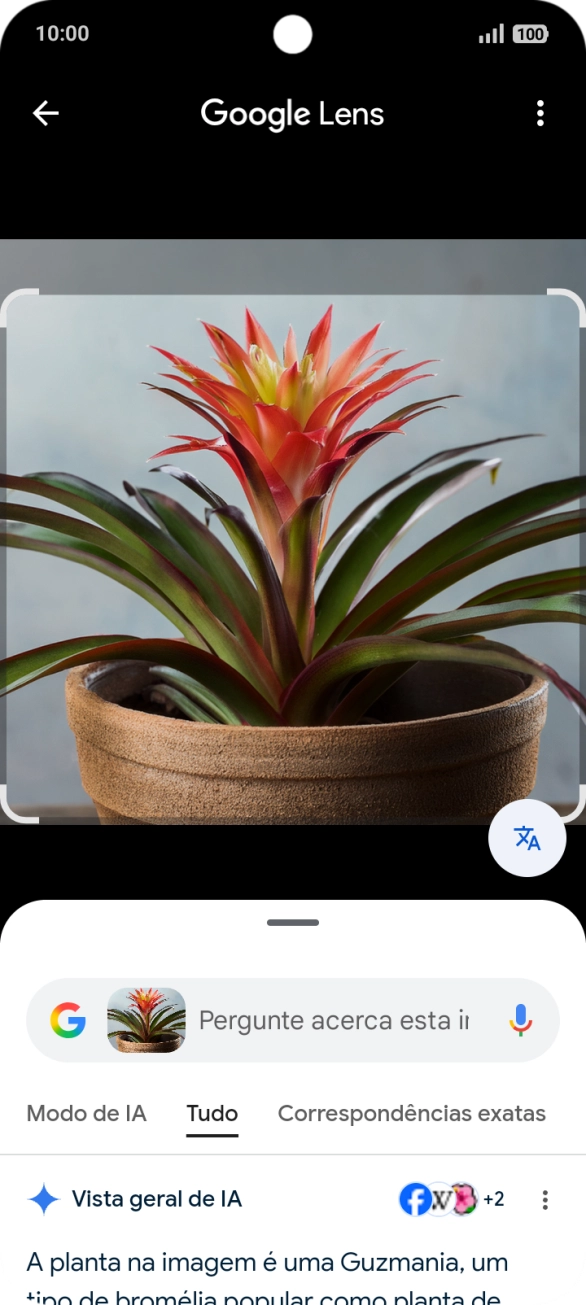 Siga as indicações no ecrã  e aguarde os resultados da pesquisa.