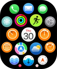 Press the Digital Crown to open the main menu.