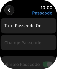 Press Turn Passcode On and key in a lock code of your own choice twice.