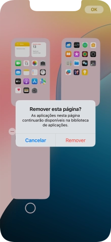 Prima Remover.