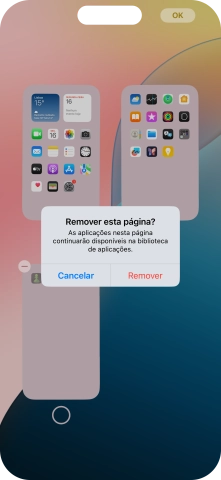 Prima Remover.