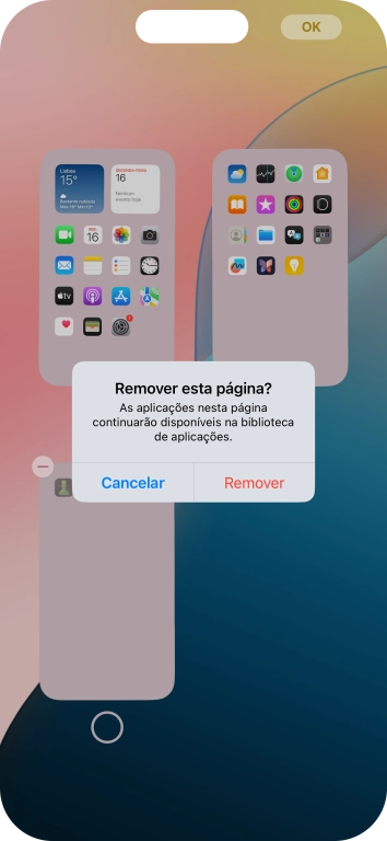 Prima Remover.