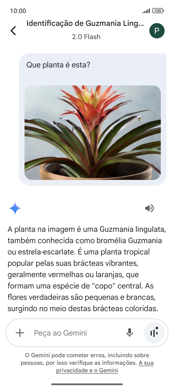 Siga as indicações no ecrã para escrever ou ditar a pergunta pretendida. Pode também anexar imagens ou documentos e fazer perguntas a respeito destes.