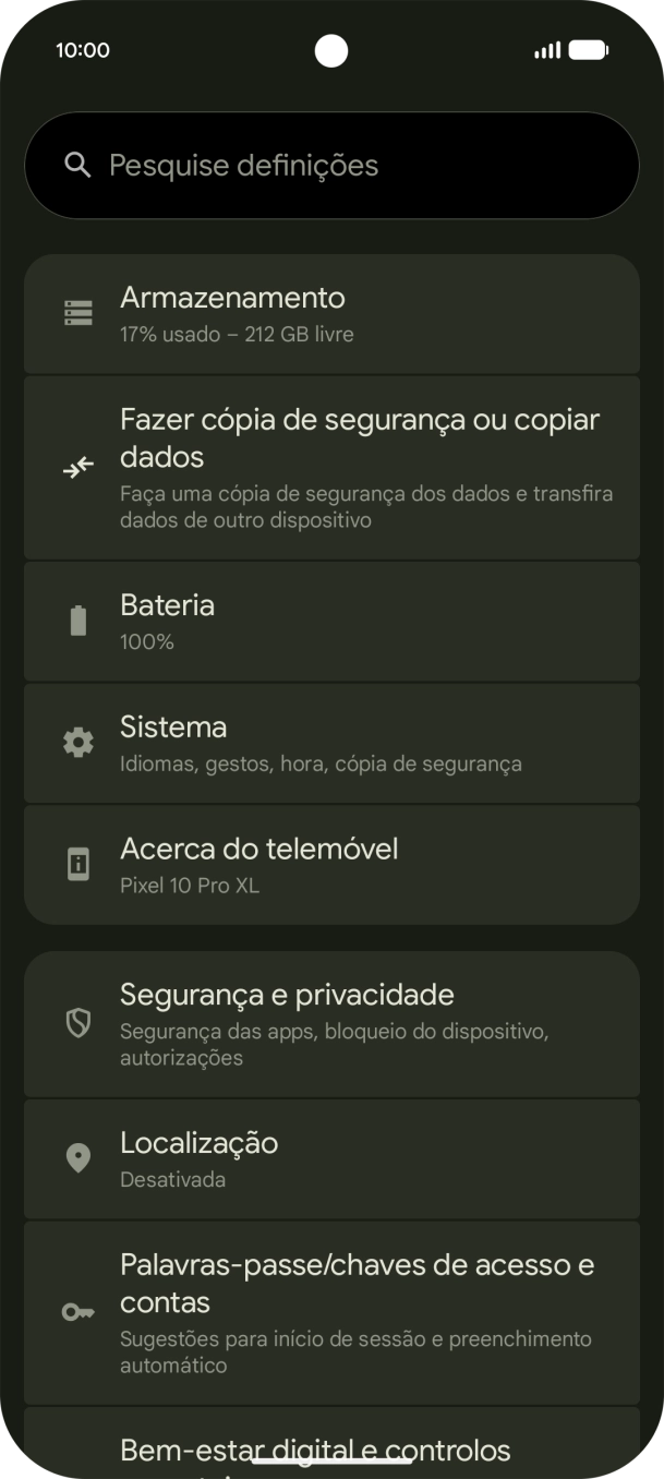 Prima Segurança e privacidade.