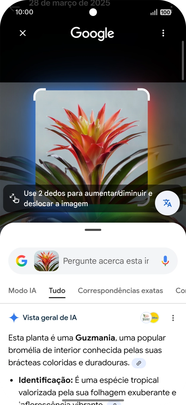 Siga as indicações no ecrã  para utilizar os resultados da pesquisa.