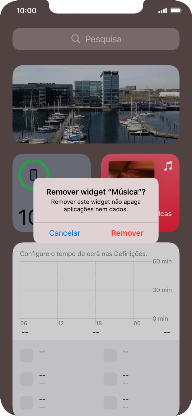 Prima Remover.