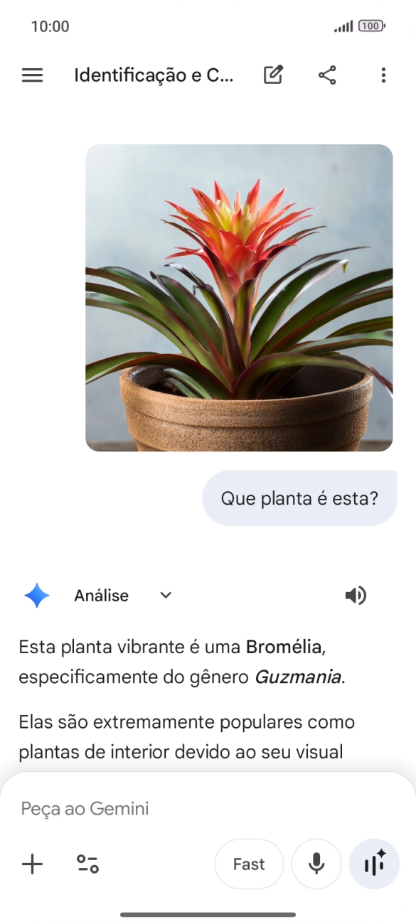 Siga as indicações no ecrã para escrever ou ditar a pergunta pretendida. Pode também anexar imagens ou documentos e fazer perguntas a respeito destes.
