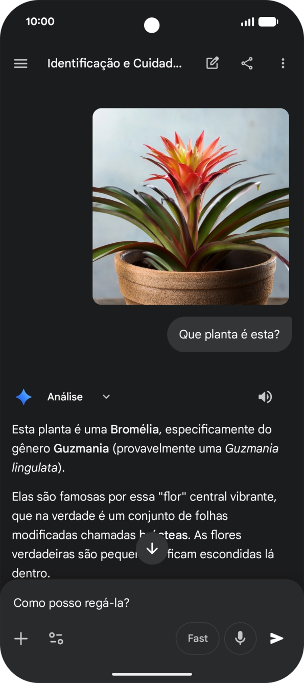 Siga as indicações no ecrã para escrever ou ditar perguntas, para continuar a conversa.