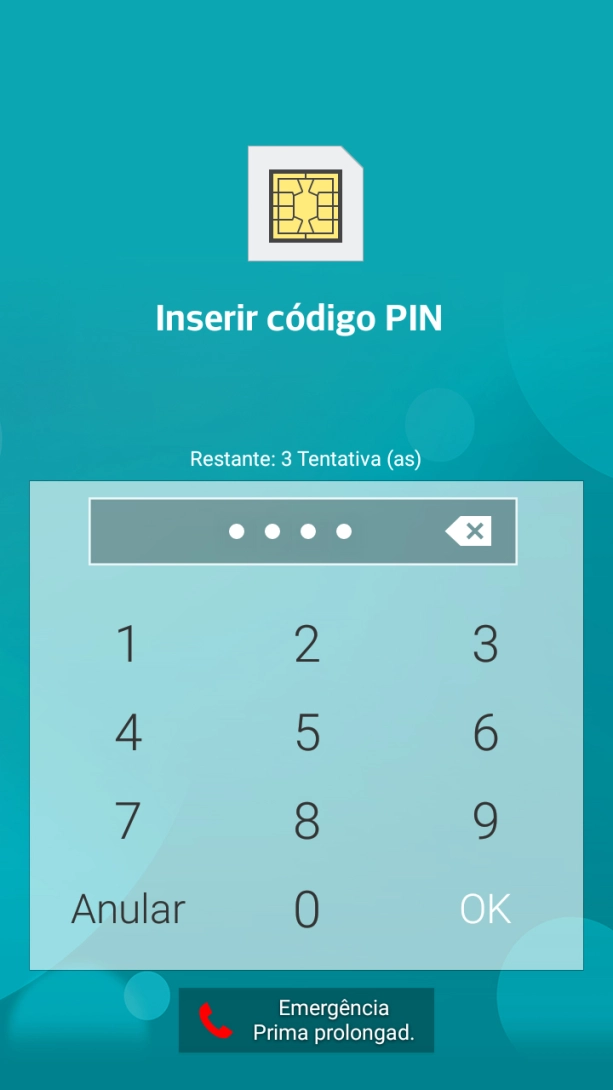 Se solicitado, deve introduzir o código PIN e premir OK.