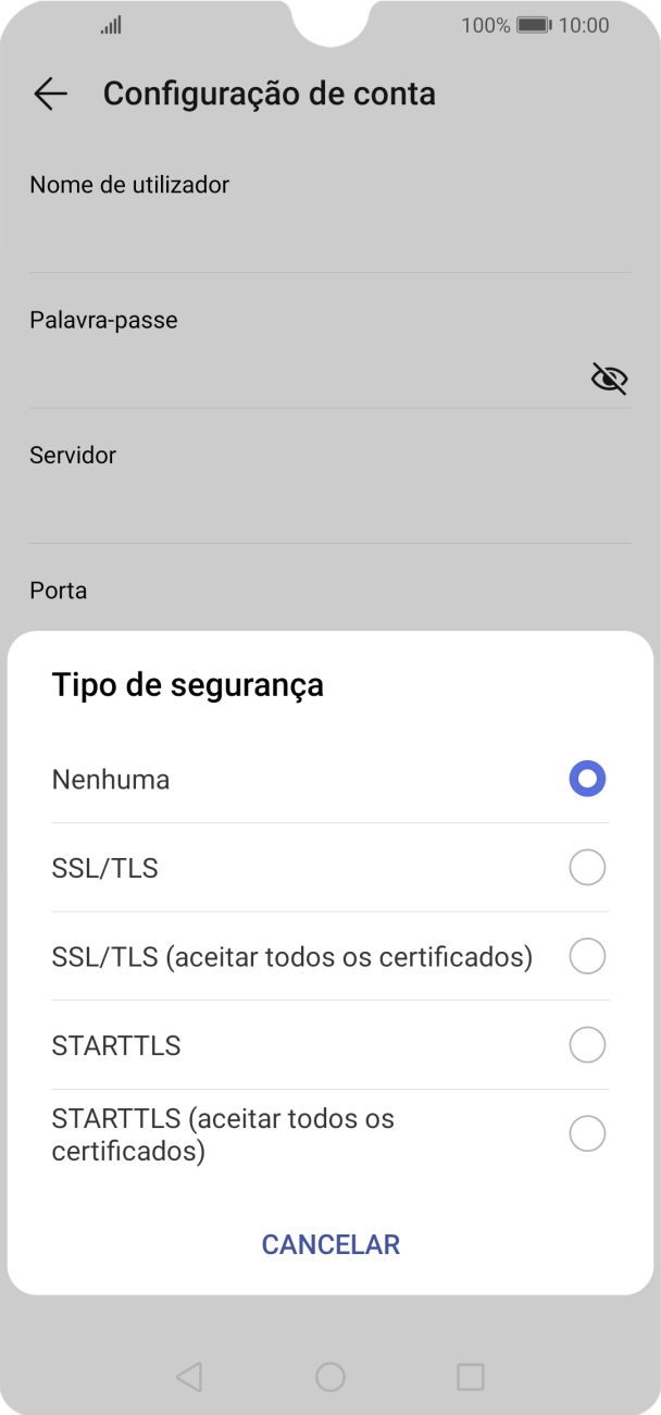 Prima SSL/TLS para ativar a função.