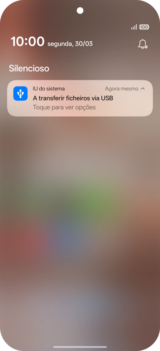 Prima o ícone de ligação USB.