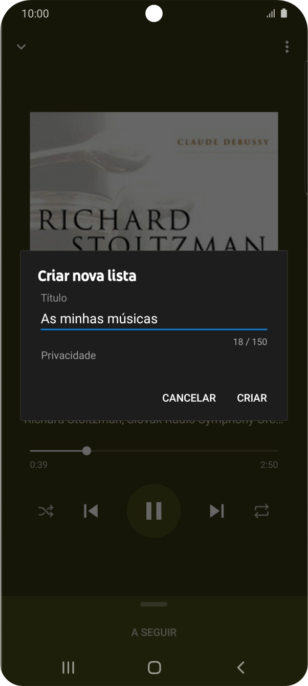 Introduza o nome pretendido para a lista de reprodução e prima CRIAR.