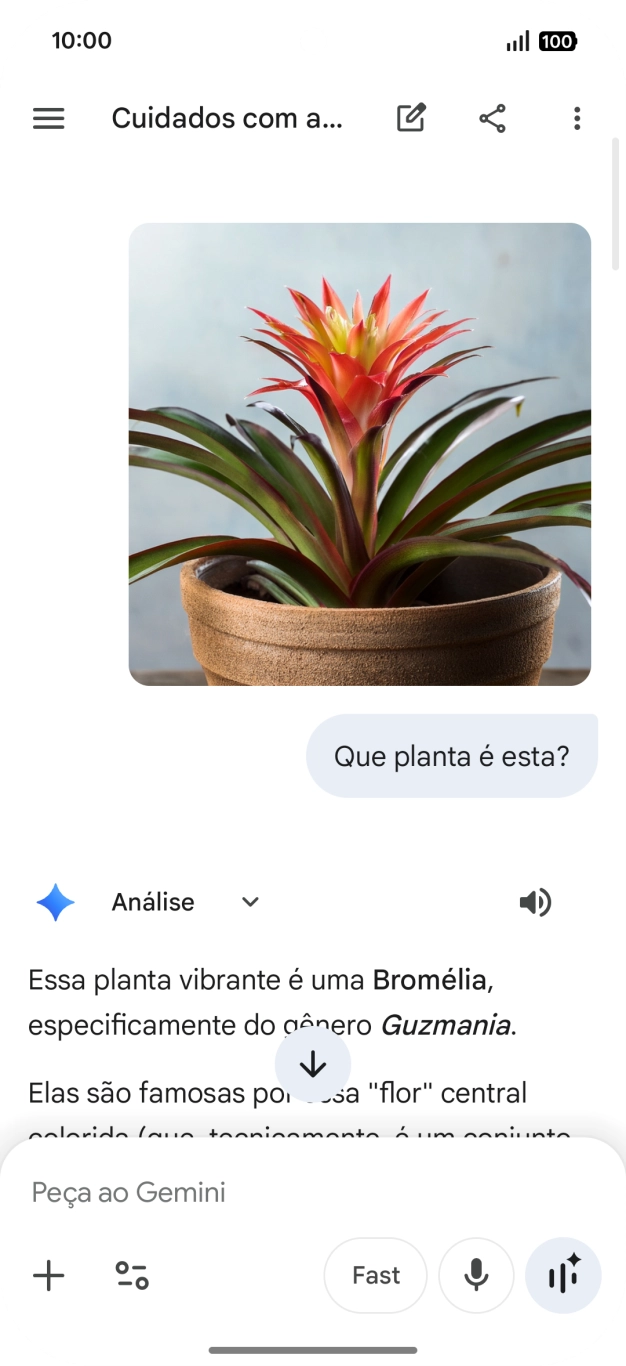 Siga as indicações no ecrã para escrever ou ditar a pergunta pretendida. Pode também anexar imagens ou documentos e fazer perguntas a respeito destes.