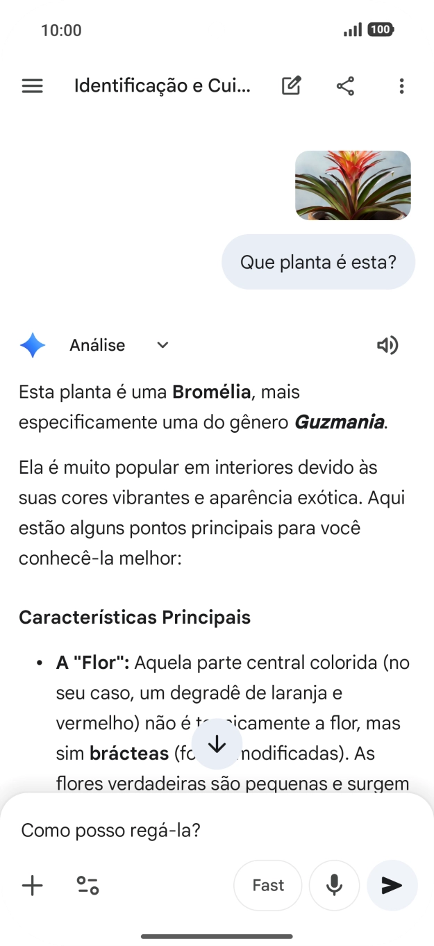 Siga as indicações no ecrã para escrever ou ditar perguntas, para continuar a conversa.