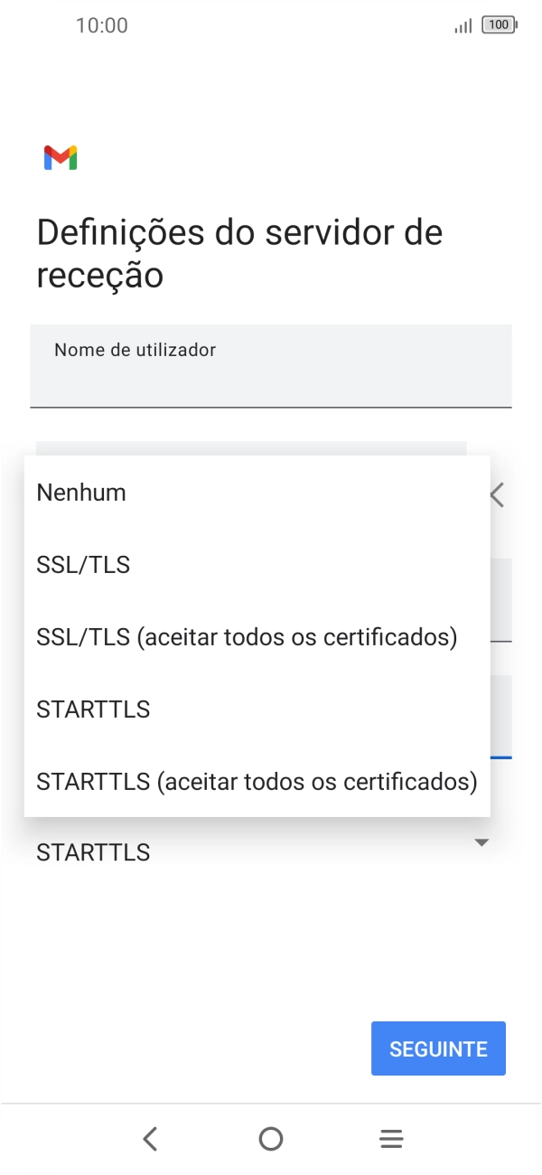 Prima SSL/TLS para ativar a função.