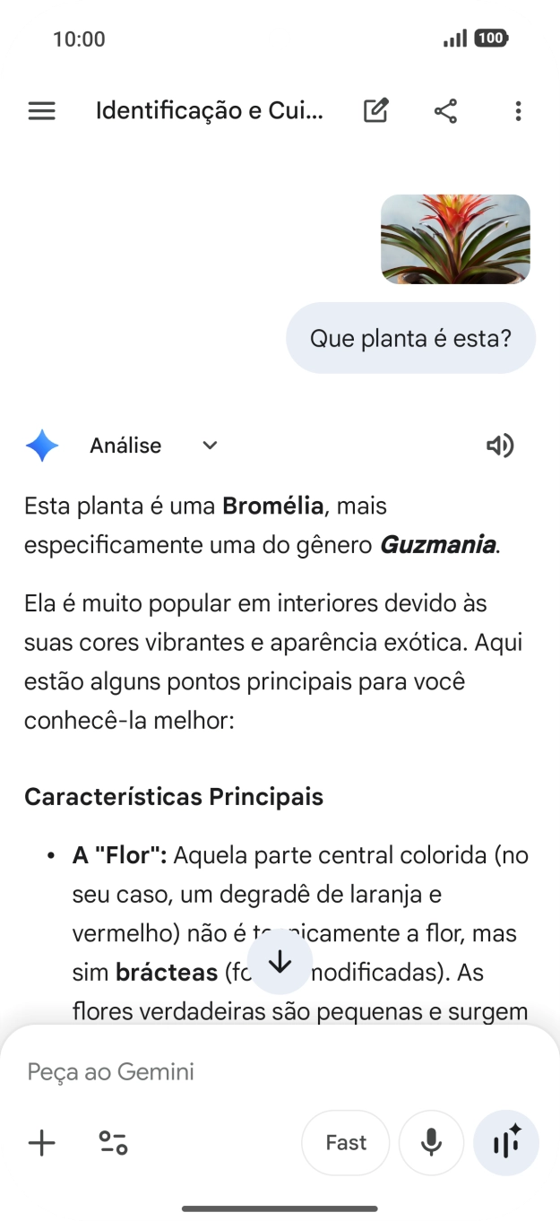 Siga as indicações no ecrã para escrever ou ditar a pergunta pretendida. Pode também anexar imagens ou documentos e fazer perguntas a respeito destes.