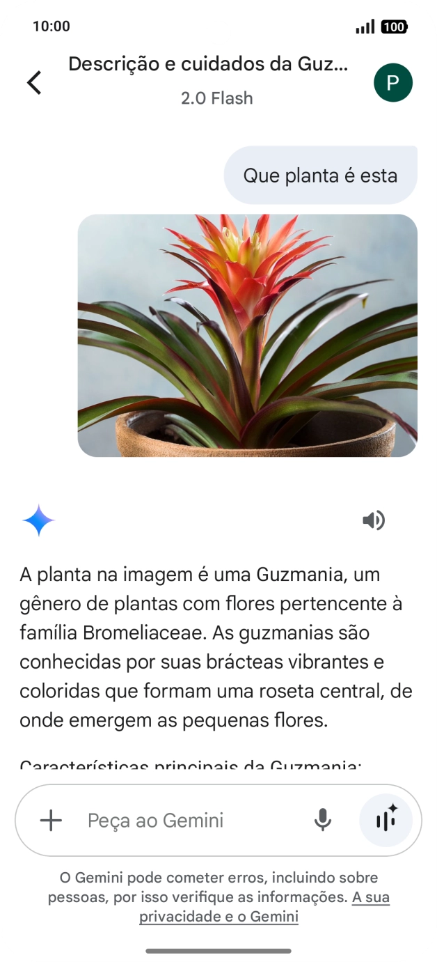 Siga as indicações no ecrã para escrever ou ditar a pergunta pretendida. Pode também anexar imagens ou documentos e fazer perguntas a respeito destes.