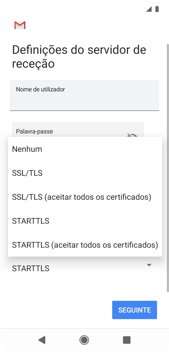 Prima SSL/TLS para ativar a função.