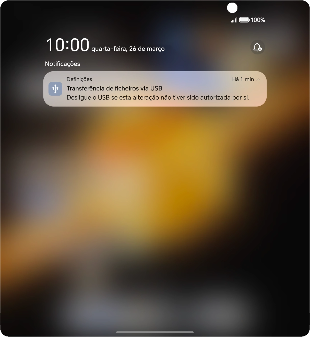 Prima usb icon.
