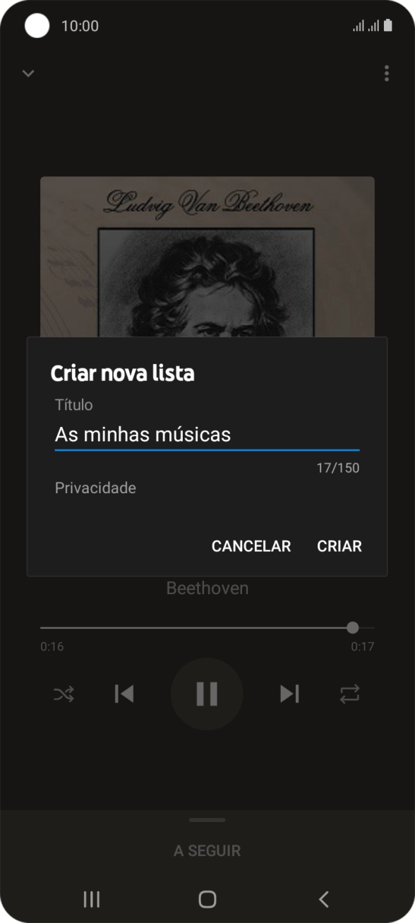 Introduza o nome pretendido para a lista de reprodução e prima CRIAR.